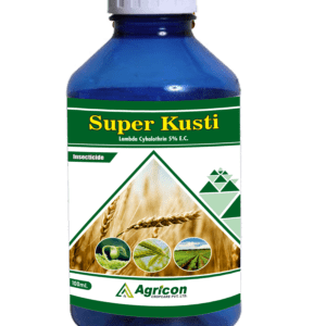 Super Kusti